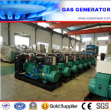 Professional Manufacturer Water Cooled Natural Gas Generator 100kVA/80kw