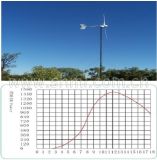 Wind Power System (FYFD-1KW)
