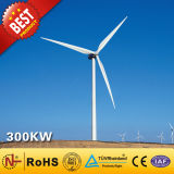 Wind Turbine / Wind Power Generator (300kW)
