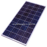 Photovoltaic Poly Solar Panel 135w (NES60-6-135P)