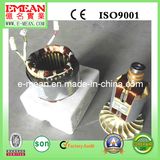 2kw Honda Design Alternator (stator+rotor) for Gasoline Generator