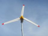 Wind Turbine (FD300)