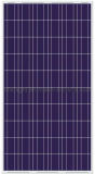 240W Polycrystalline Solar (YHM240-36P)