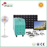 1kw Pure Sine Wave Inverter 1kw Solar System for Home (FS-S110)