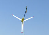 Wind Turbine ((FD-500) 500W)