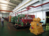 Avespeed Series Biomass Generator