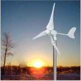 300W-600W Small Wind Generator /Wind Turbine 12V/24V Mini Low Rpm Permanent Magnetic Generator on Sale