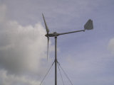 Small Wind Generator (WH-3000) 