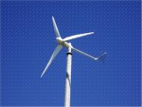 First Wind Turbine - 10kw Wind Turbine without Noise