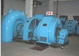 Hydro Turbine Permanent Magnet Generator/ Alternator