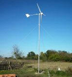 2000W Wind Generator Wind Turbine Wind Power