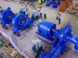 Horizonta Francis Turbine / Turbine Generator Unit / Generator / Turbine / Power Plant/High Quality