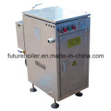 Ldr Packaged Electric Steam Generator