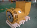 China 50/60Hz Three Phase Brushless Self-Exciting AC Generator/Alternator