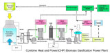 Biomass Gasification Power Plant From 10kw to 350kw