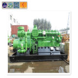 CE High Efficiency 300 Kw Elelctric Power Biogas Generator