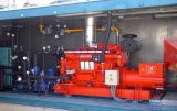 Biogas for Renewable Power Generator Set