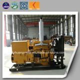 20kw Natural Gas Genset (LHNG20)