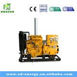 2015 Power Plant Natural Gas Generator From China