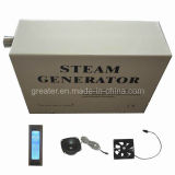 Residential Wet Steam Generator (TR028-H)
