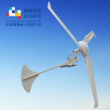 400W Wind Power Generator with Typhoon Resistance