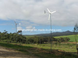 Small Wind Turbine Generator 1000W for Residential