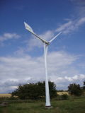 Customer Designed Windmill Turbine System