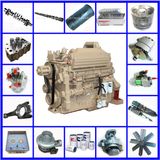 Nta855 Kta19 Kta38 Kta50 M11 Vta28 N14 Enine Parts