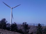 Wind Generator (200w to 50kw)