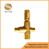 Brass Pump Parts Manufacturer (TFPV-010-01)