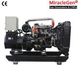 Biogas Generator Set 10-20kw