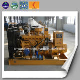 Houshold Electric 20kw Small Biogas Generator