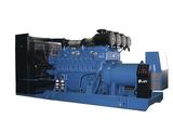 Mtu Diesel Generator Set (BMX1000)