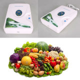 Prompt Delivery Fruit and Vegetable Ozone Purifier