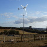 Small Wind Generator Power System 1kw for Household