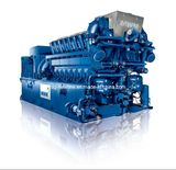 Natural Gas Genset