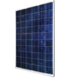 High Efficiency 230w Solar Panel With 6'' Cells (NES60-6-230P)