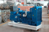 Diesel Generator Powered By Lovol Engine (FLG44)