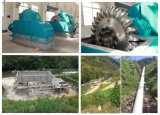 Small Hydro Power Plant / Water Turbine for Hydro Power Project