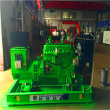 Jinan Factory Biomass Gas Generator Set for Sales