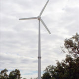 5000W Wind Turbine Wind Generator Wind Power Turbine