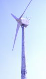 Qingdao Minshen Wind Power Technology Co.,Ltd.