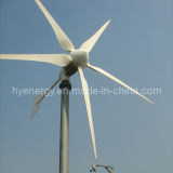 Hye Reliable Home Use Wind Generator (HY-3000L-DC 48V)