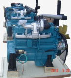 Power Generating Diesel Enigne (495ZD)