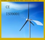Qingdao Xingguang Wind Power Generator Co., Ltd.