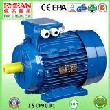 Y4 Series Three Phase Cast Iron Electric Motor