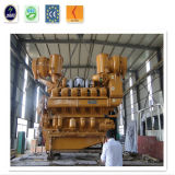CE Certified Biomass Generator at 300kw for Straws Plant