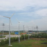 Small Wind Power Dynamo Generator Turbine 30kw