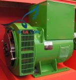 TFW Series Brushless Generator