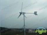 Wind Turbine 2kw (ART-2000W)